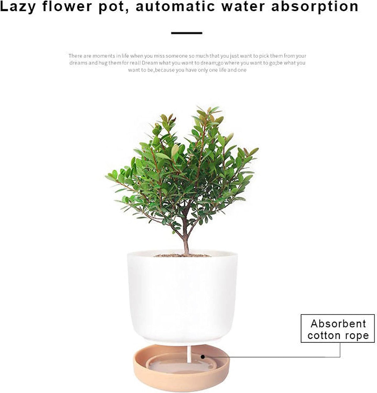 6 Pack Self-Watering Planters