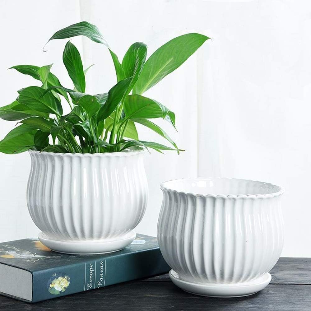 Yesland 3 Pack Ceramic Planter Pots