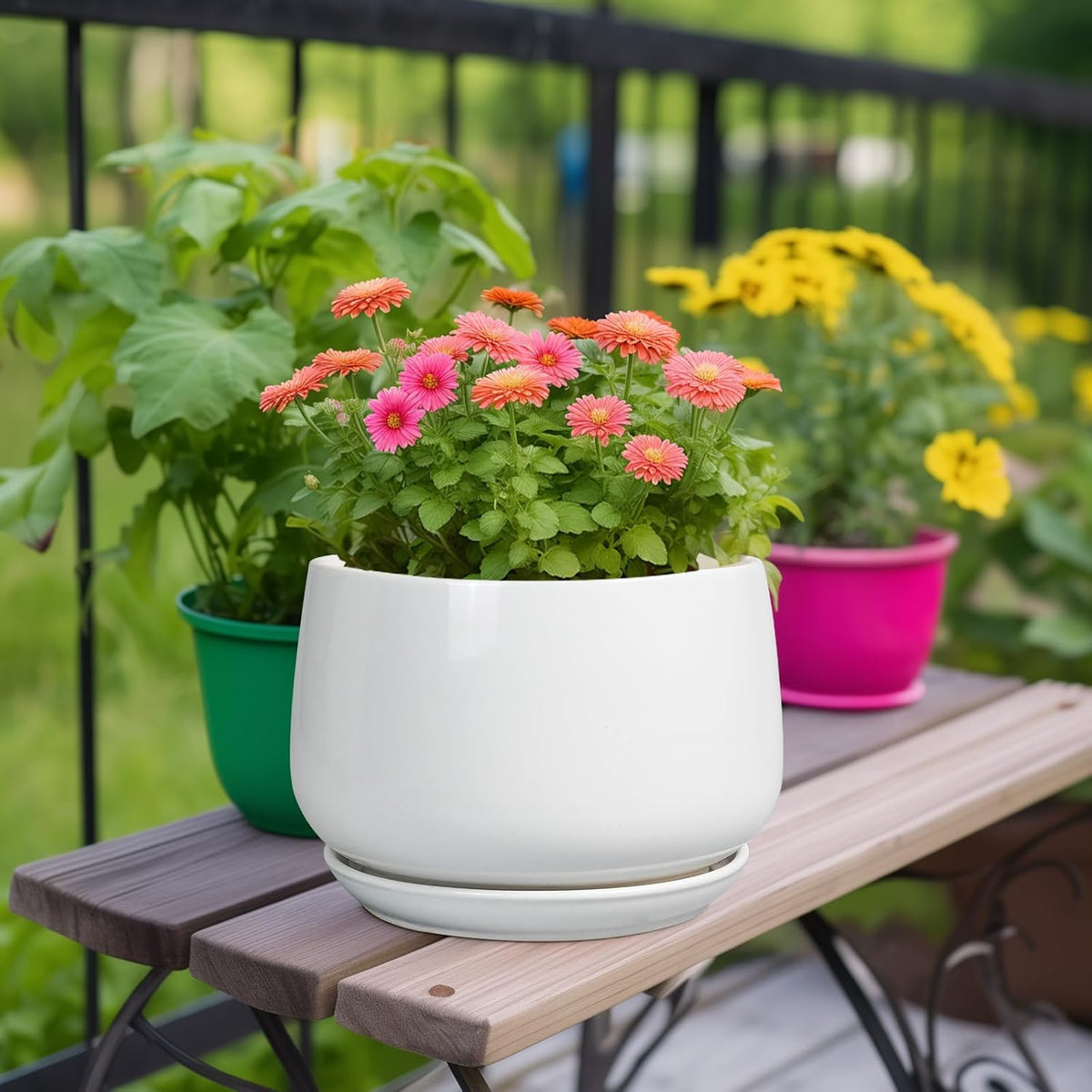 G EPGardening 9-Inch Ceramic Planter