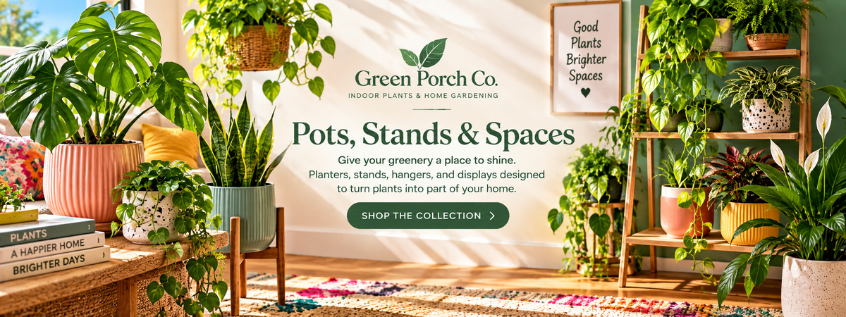 Pots, Stands & Spaces