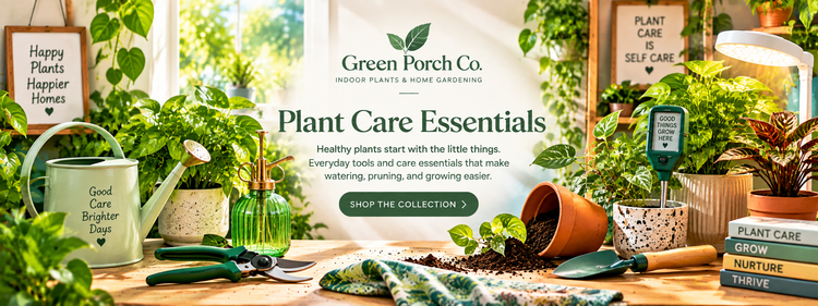 Plant Care Essentials