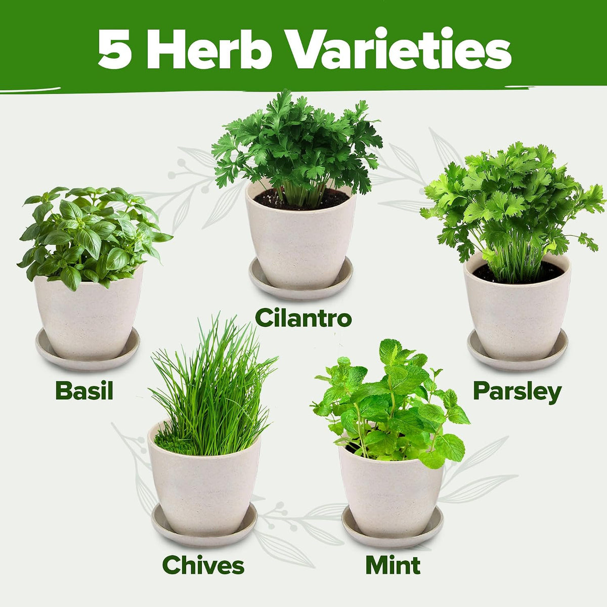 HOME GROWN 5 Herb Indoor Garden Starter Kit
