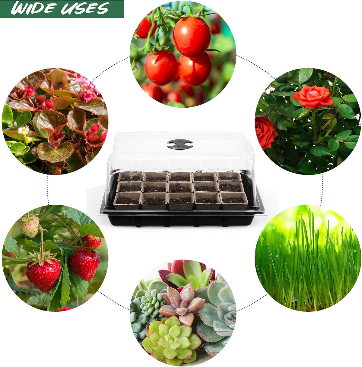 Hahood 4 Pack Seed Starter Tray Set