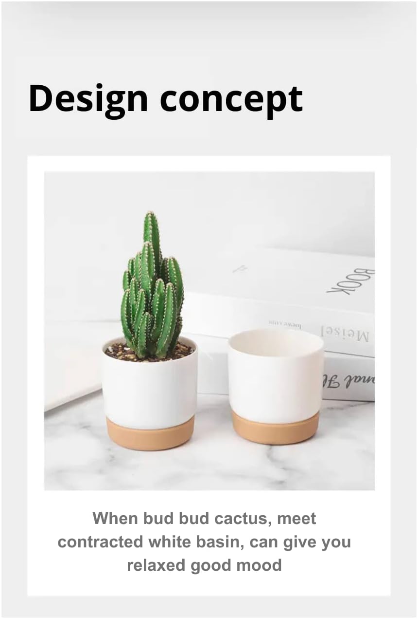 6 Pack Self-Watering Planters