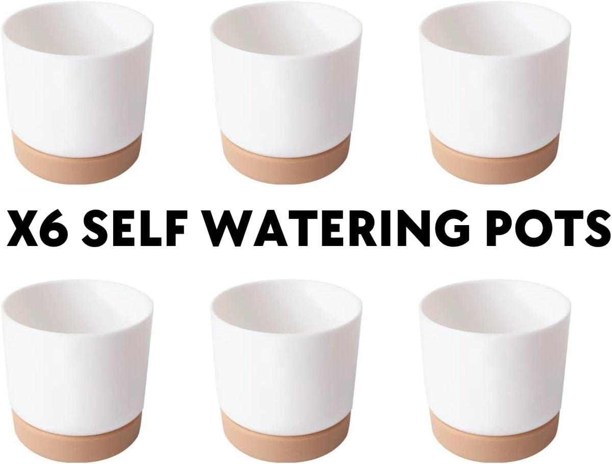 6 Pack Self-Watering Planters