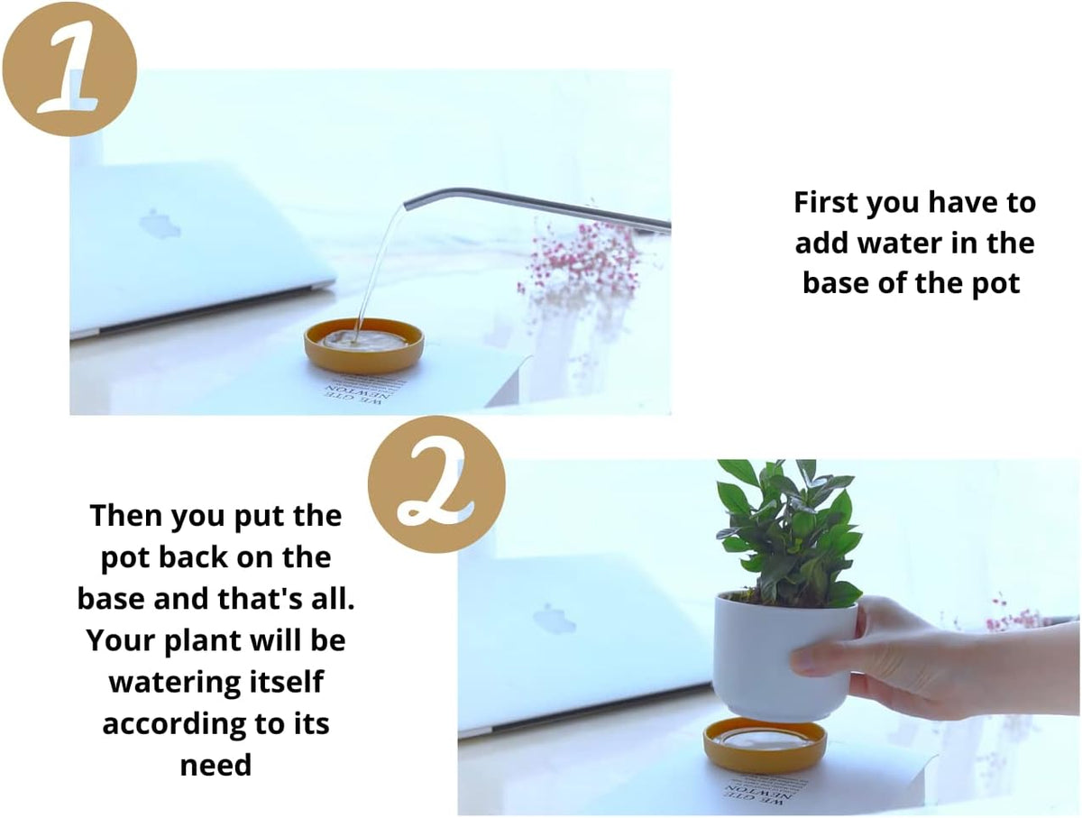 6 Pack Self-Watering Planters