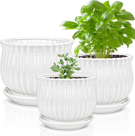 Yesland 3 Pack Ceramic Planter Pots