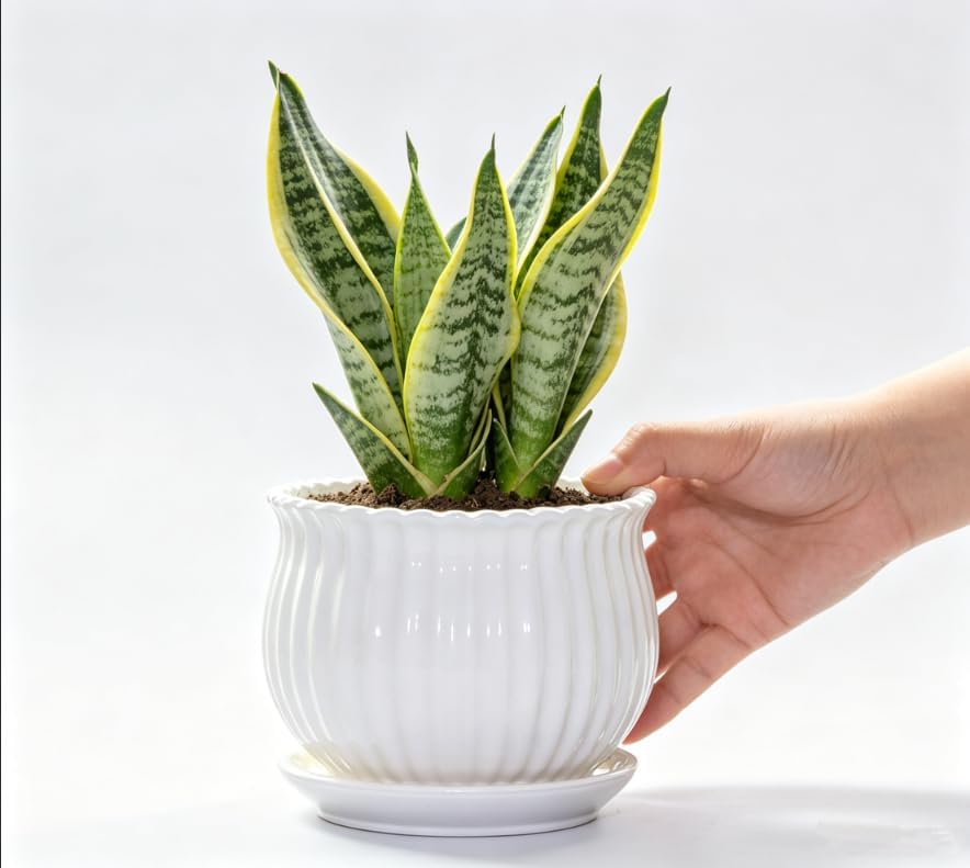 Yesland 3 Pack Ceramic Planter Pots