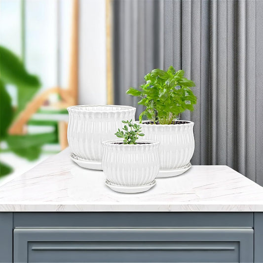 Yesland 3 Pack Ceramic Planter Pots
