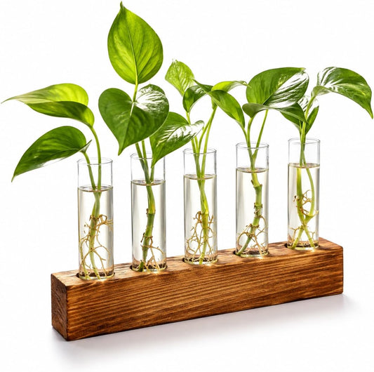 Renmxj Plant Propagation Station