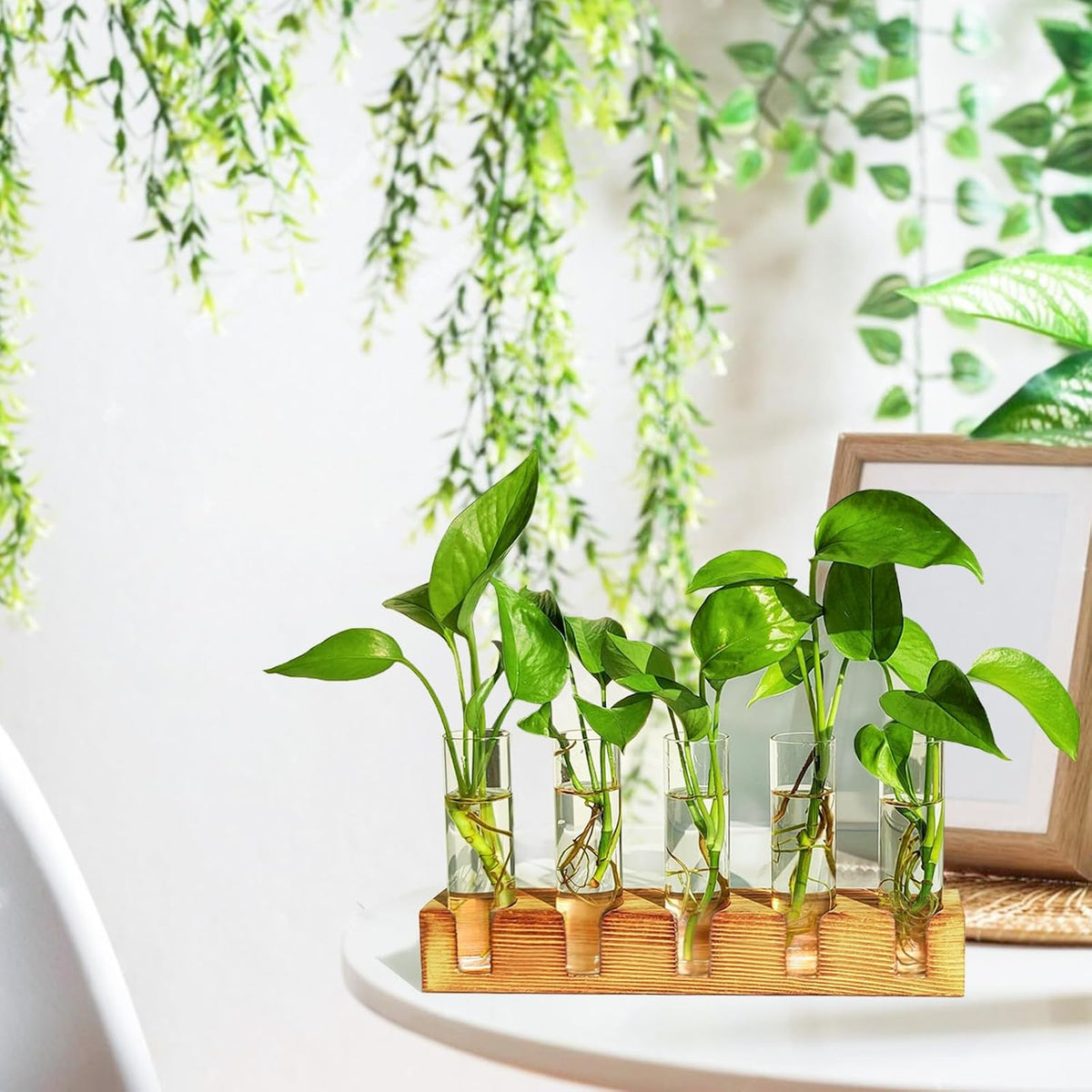 Renmxj Plant Propagation Station