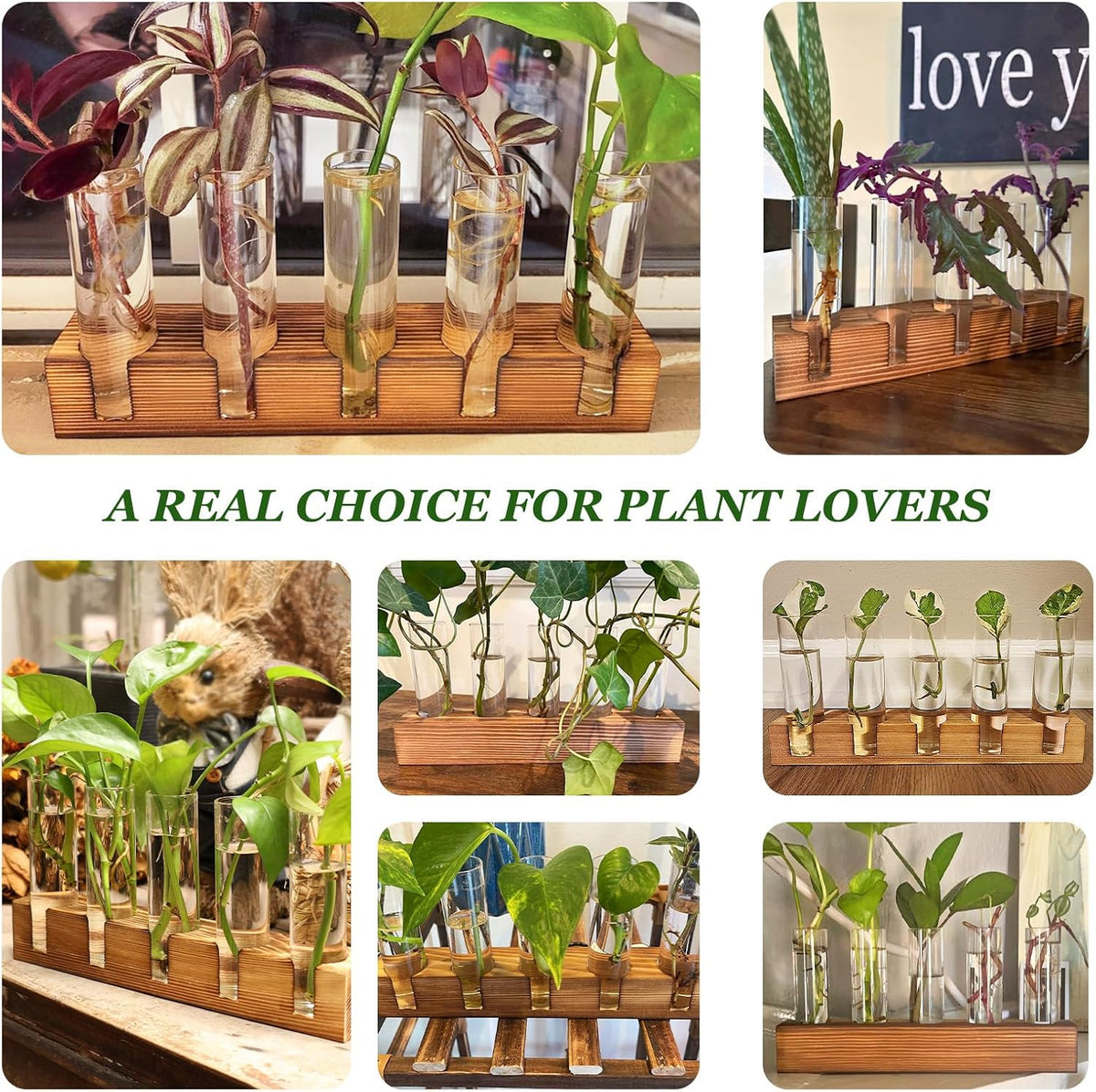 Renmxj Plant Propagation Station