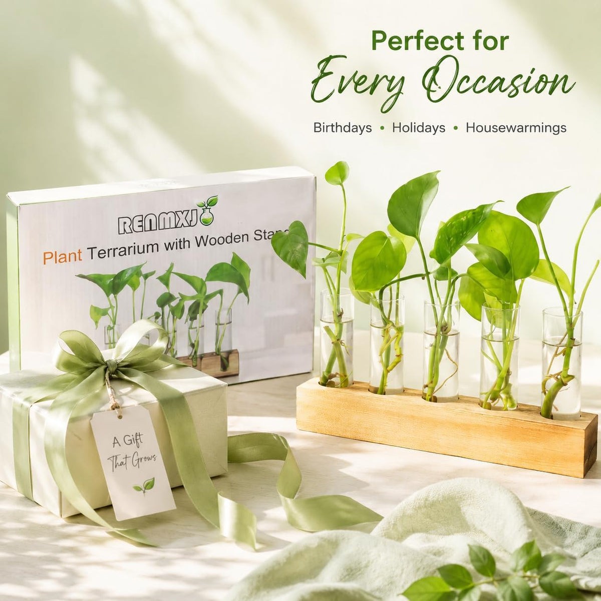Renmxj Plant Propagation Station
