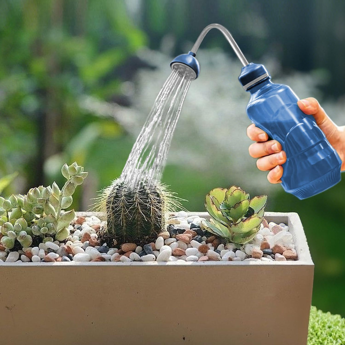 Mini Watering Can for Indoor Plants
