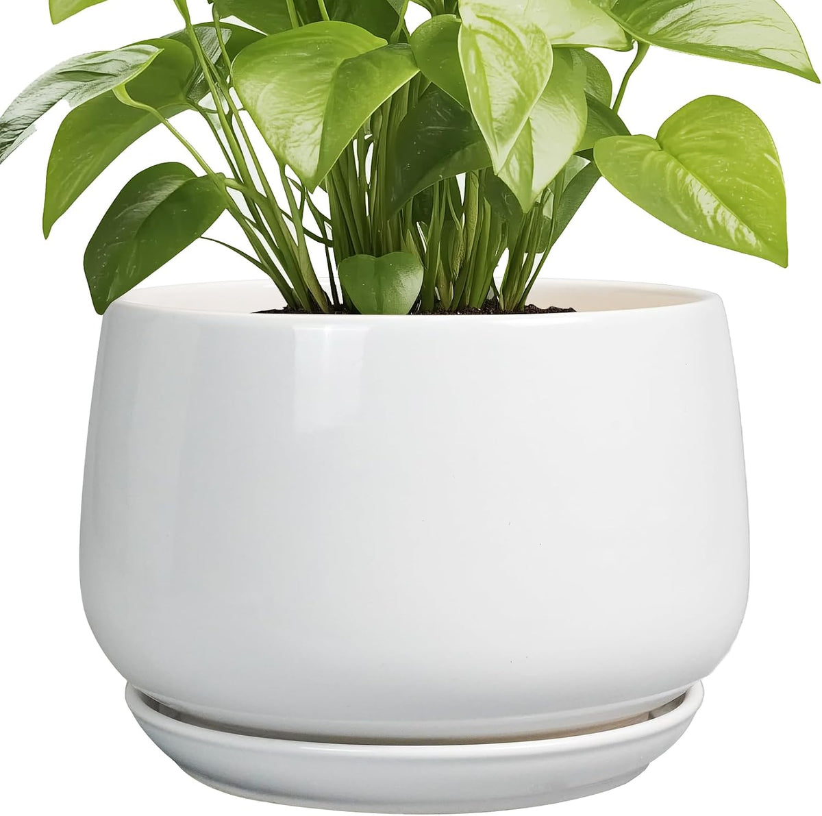 G EPGardening 9-Inch Ceramic Planter