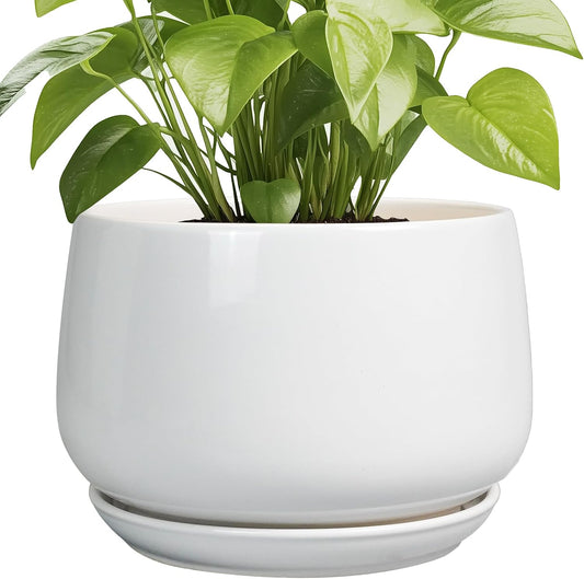 G EPGardening 9-Inch Ceramic Planter