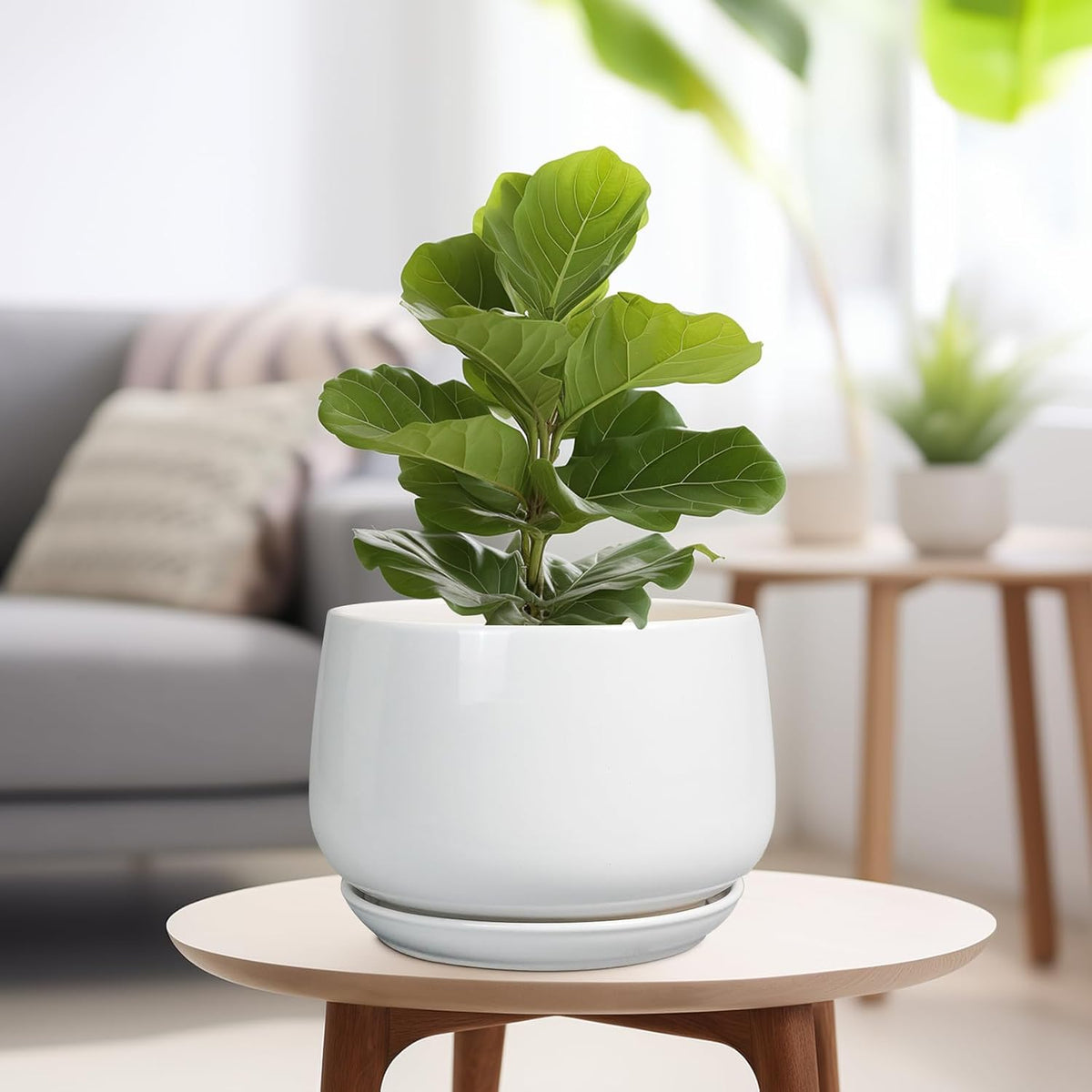 G EPGardening 9-Inch Ceramic Planter