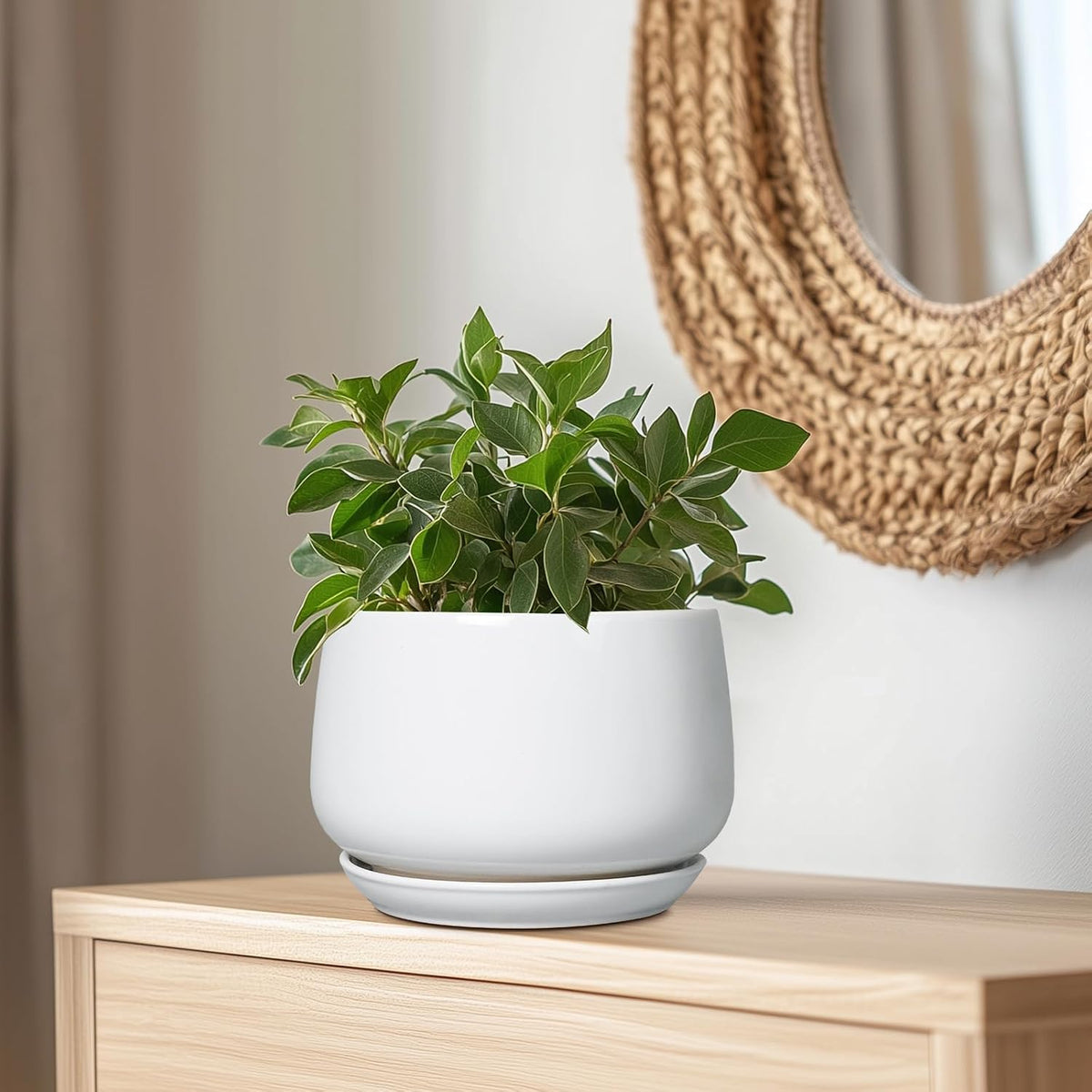 G EPGardening 9-Inch Ceramic Planter