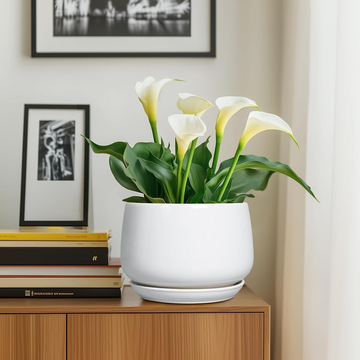 G EPGardening 9-Inch Ceramic Planter