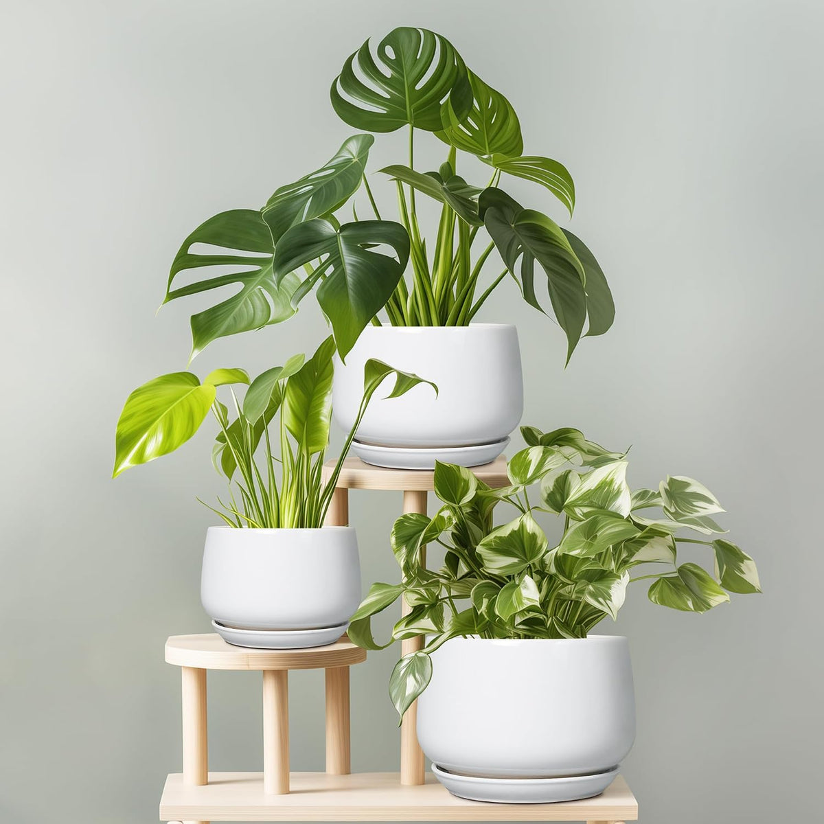 G EPGardening 9-Inch Ceramic Planter
