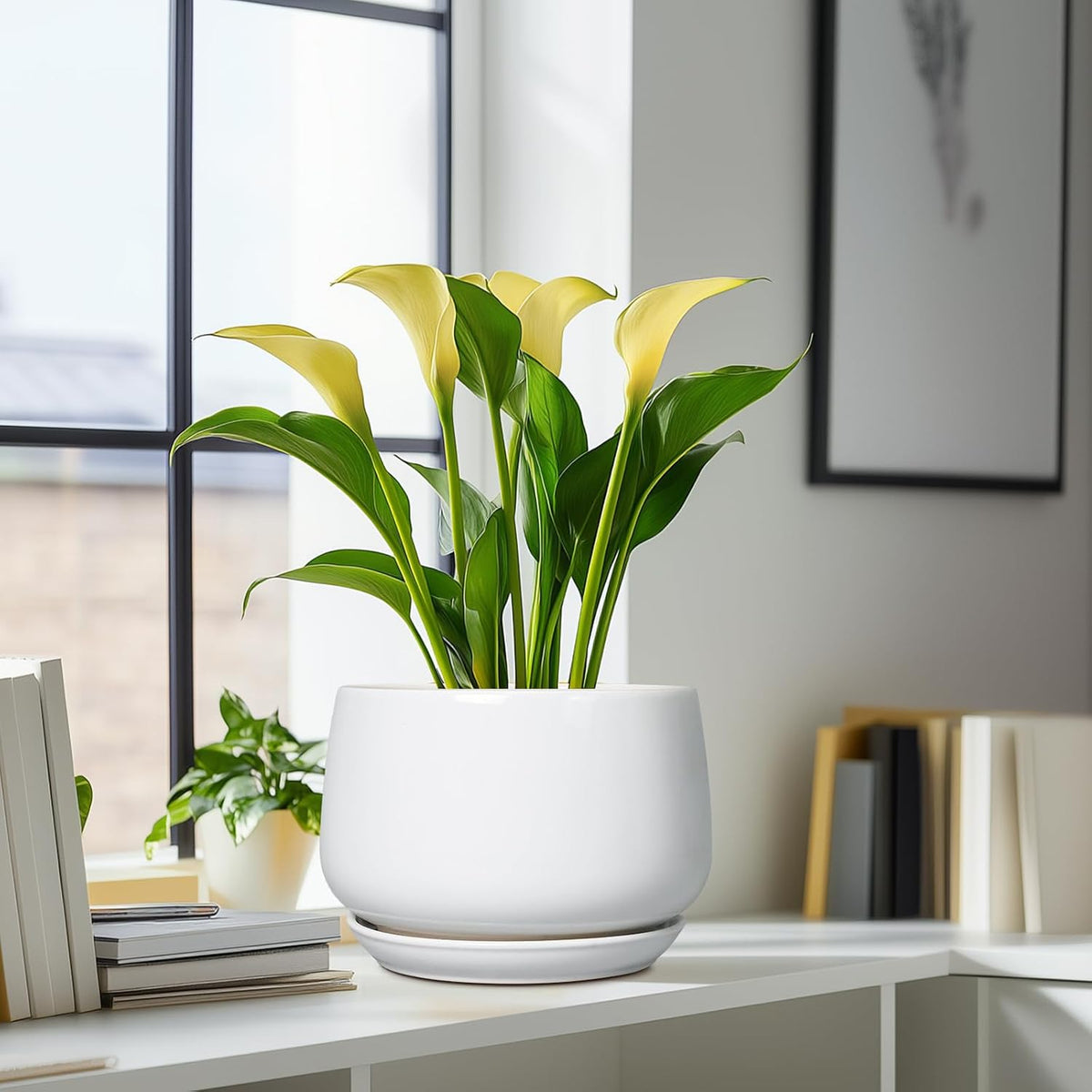 G EPGardening 9-Inch Ceramic Planter