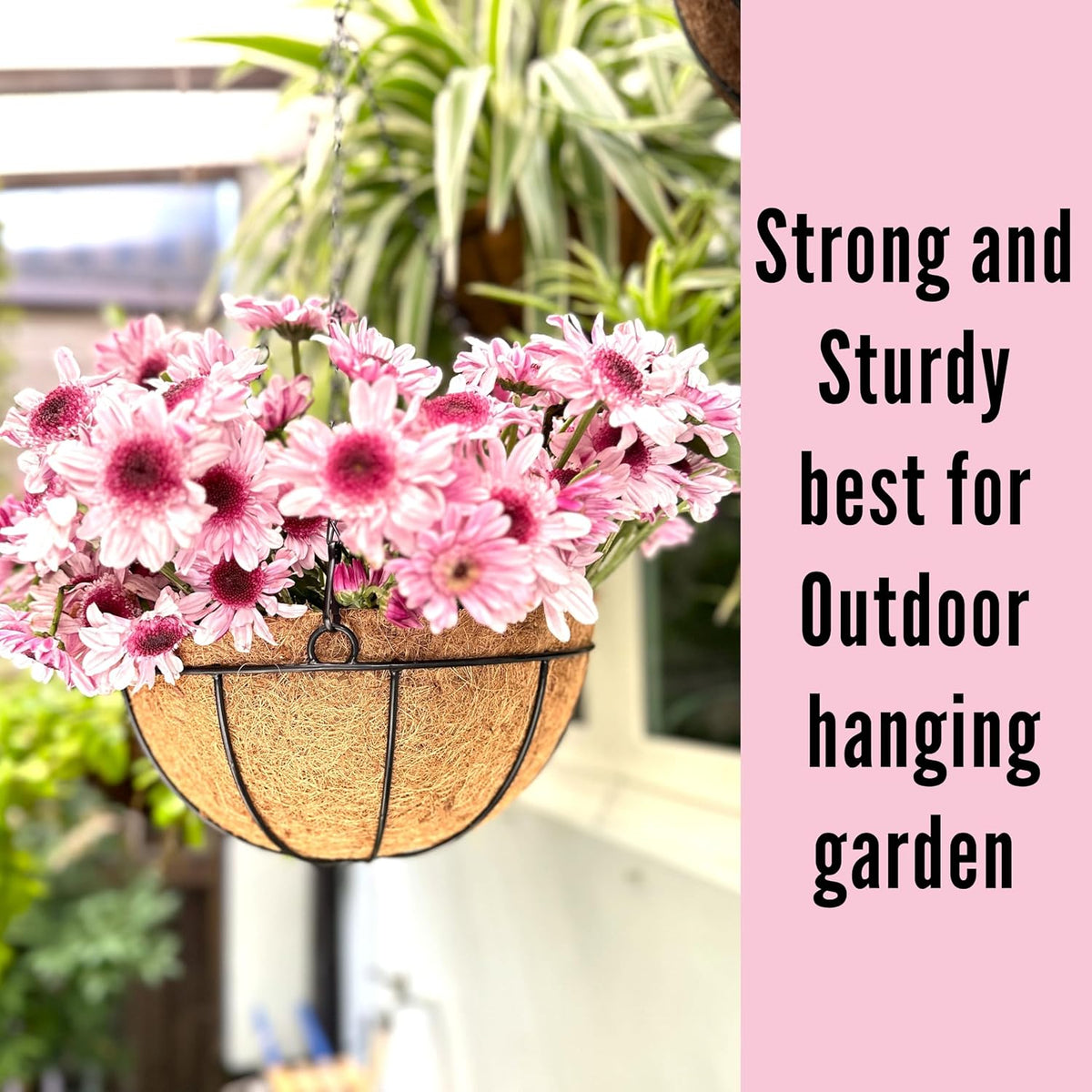 LaLaGreen 4 Pack Hanging Baskets