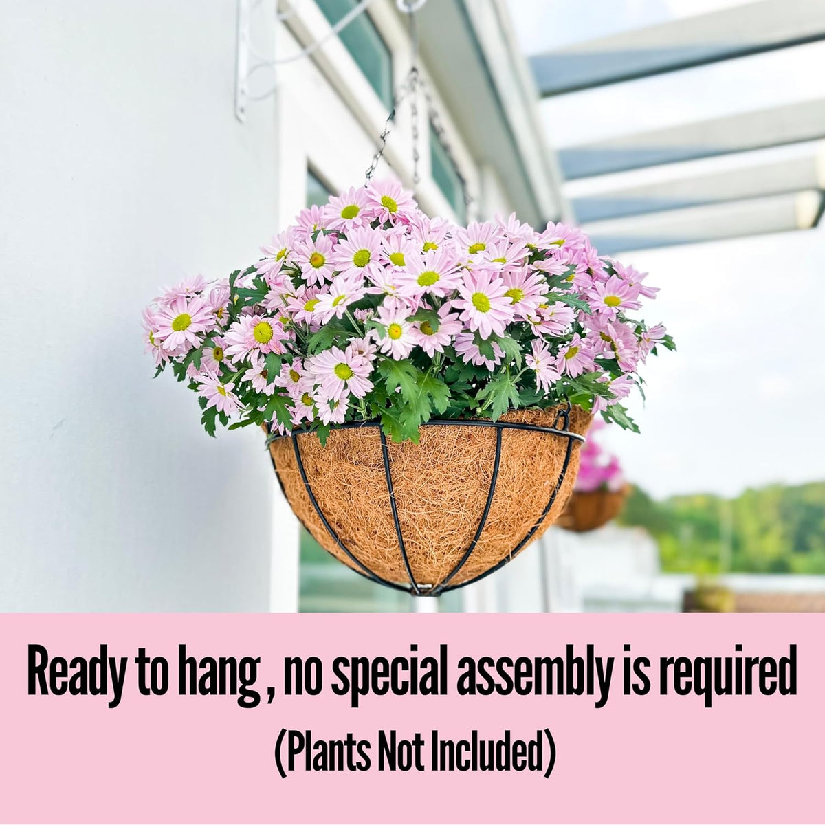LaLaGreen 4 Pack Hanging Baskets
