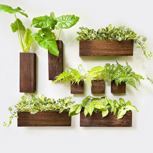 LaLaGreen 8 Pack Wood Wall Planters