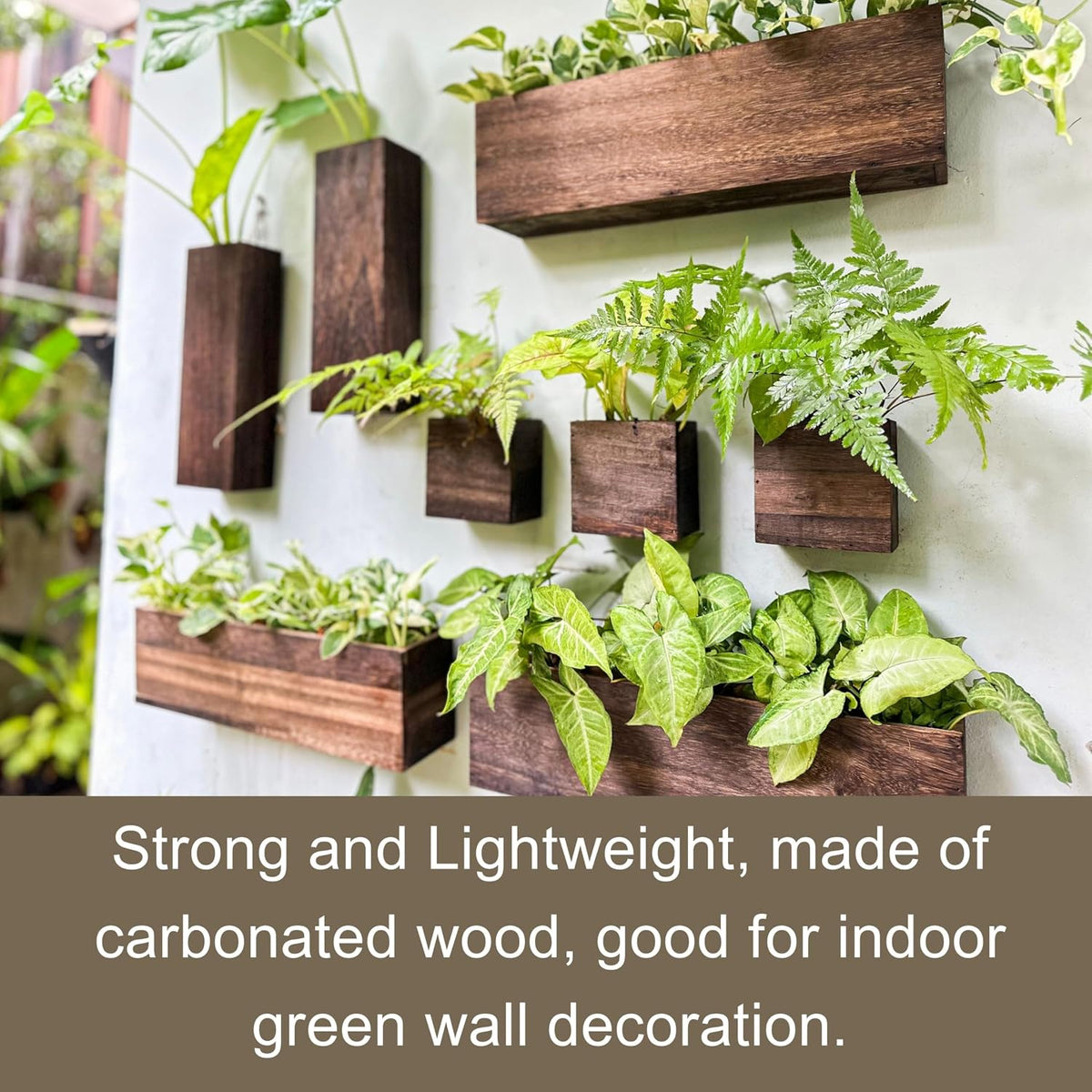 LaLaGreen 8 Pack Wood Wall Planters